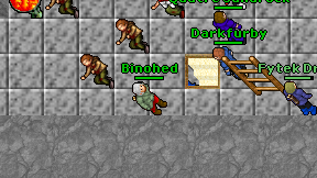 Binohed on screen