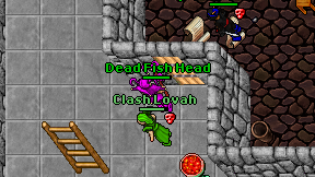 Dead Fish Head on screen