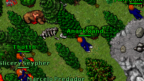Anark xand on screen