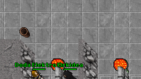 Orkidea on screen