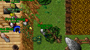 Aggroo on screen