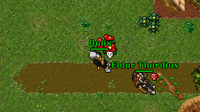 Qulix on screen