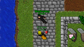 Hohuwu on screen