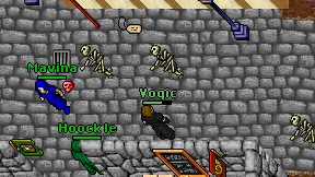 Voqic on screen