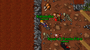 Salandia on screen