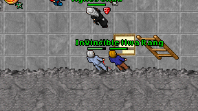 Invincible Hwa Rang on screen