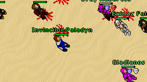 Invincible Paladyn on screen