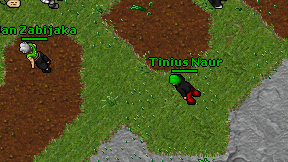 Tinius Naur on screen