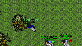 Senogor on screen