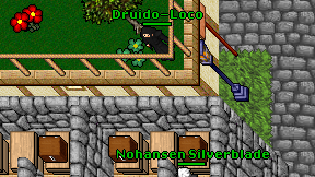 Druido-Loco on screen
