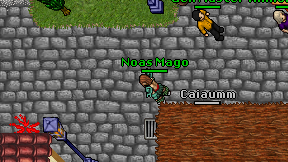 Noas Mago on screen