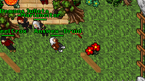 Answex-Druid on screen