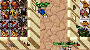 Golidix on screen