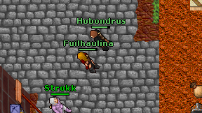 Fuilhaulina on screen