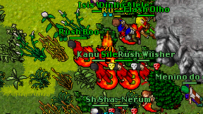 Rustyfox on screen