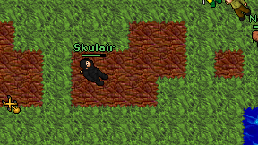 Skulair on screen