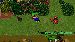 Skuneq on screen