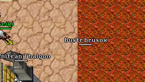 Bustr brusox on screen
