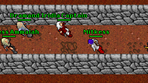 Mitkess on screen