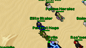 Elite Skaler on screen