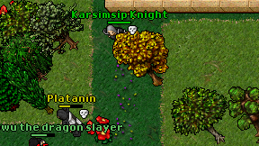 Karsimsip Knight on screen