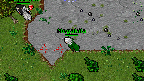 Megakila on screen