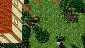 Kapa Kinneas on screen