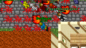 Budigao on screen