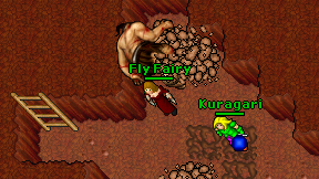 Fly Fairy on screen
