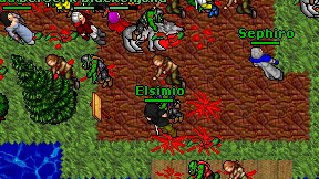 Elsimio on screen