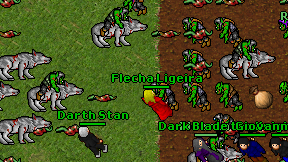 Flecha Ligeira on screen