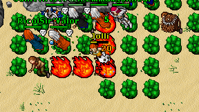 Jolli on screen