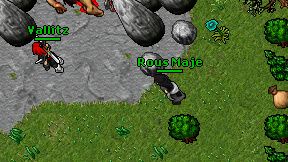 Rous Maje on screen