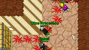 Wizo Priceless on screen