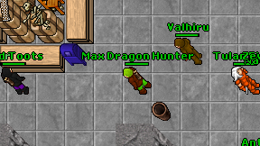 Max Dragon Hunter on screen