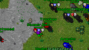 Truskav on screen