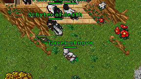 Gacek of nova on screen