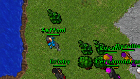 Saffoni on screen