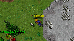 Cieciu on screen