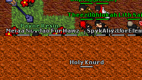 Hawz on screen