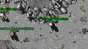 Fenseb Gwaion on screen