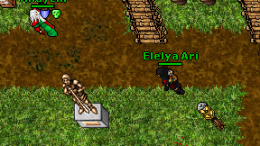 Elelya Ari on screen