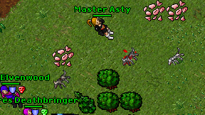 Master Asty on screen