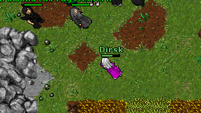 Dirsk on screen