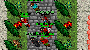 Segovias on screen