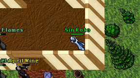 Sin Koto on screen