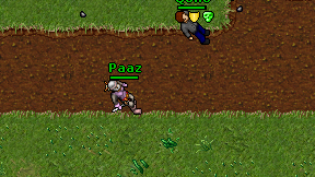 Paaz on screen
