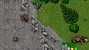 Raf'ina on screen