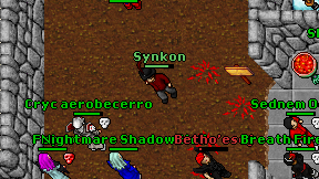 Synkon on screen