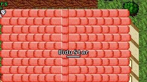 Bidu Star on screen